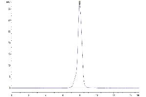 The purity of Cynomolgus EpCAM is greater than 95 % as determined by SEC-HPLC.