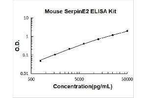 Typical Standard Curve
