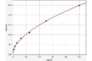 Typical standard curve (JAK3 ELISA 试剂盒)