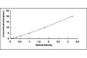 Typical standard curve (HNRNPK ELISA 试剂盒)