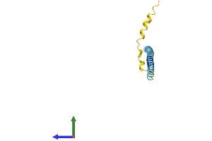 Protein Structure (PS) image for Synuclein, gamma (Breast Cancer-Specific Protein 1) (SNCG) (AA 1-123) protein (His tag) (ABIN7556343)