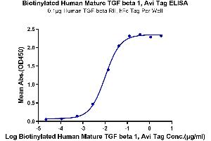 Immobilized Human TGF-beta RII, hFc Tag at 1 μg/mL (100 μL/well) on the plate.