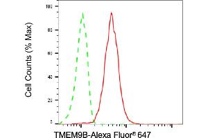 Flow cytometric analysis of TMEM9B expression in H9c2 cells using TMEM9B antibody (ABIN7800560), 1:2,000). (Recombinant TMEM9B 抗体)