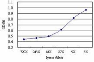 Sandwich ELISA detection sensitivity ranging from approximately 27x to 3x dilution of the BDKRB1 293T overexpression lysate (non-denatured).