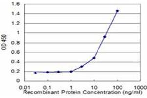 Detection limit for recombinant GST tagged CD8A is approximately 3ng/ml as a capture antibody. (CD8 alpha 抗体  (AA 1-235))