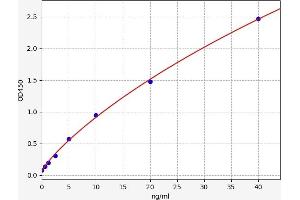 Typical standard curve (MMP2 ELISA 试剂盒)