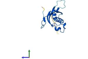 Protein Structure (PS) image for Ribosomal Protein L31 (RPL31) (AA 1-125) protein (His tag) (ABIN7551435)