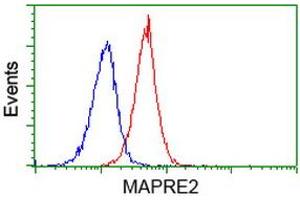 Flow cytometric Analysis of Jurkat cells, using anti-MAPRE2 antibody (ABIN2454553), (Red), compared to a nonspecific negative control antibody, (Blue). (MAPRE2 抗体)