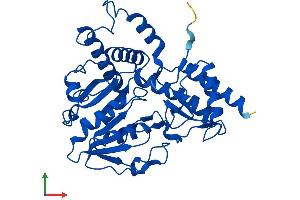 Protein Structure (PS) image for phosphoserine Aminotransferase 1 (PSAT1) (AA 1-370) protein (His tag) (ABIN7560335)