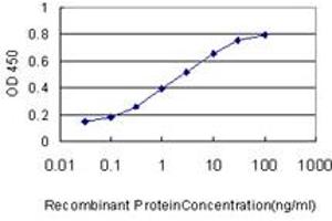 Detection limit for recombinant GST tagged WNK3 is approximately 0. (WNK3 抗体  (AA 1-100))
