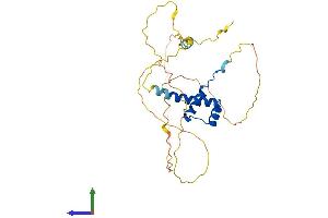 Protein Structure (PS) image for NK2 Homeobox 6 (NKX2-6) (AA 1-301) protein (His tag) (ABIN7549739)