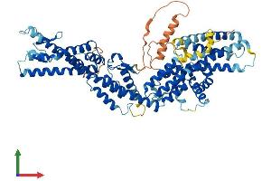 Protein Structure (PS) image for Tubulin, gamma Complex Associated Protein 4 (TUBGCP4) (AA 1-667) protein (His tag) (ABIN7547955)