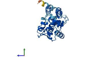 Protein Structure (PS) image for Calcyphosine-Like (CAPSL) (AA 1-208) protein (His tag) (ABIN7558017)