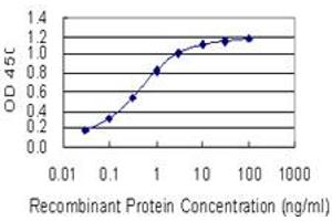 Detection limit for recombinant GST tagged OTP is 0. (OTP 抗体  (AA 11-120))