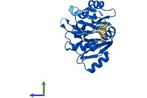 AlphaFold protein structure predicition of Human Recombinant EIF6 Protein, UniprotID P56537