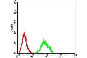 Flow Cytometry (FACS) image for anti-Chemokine (C-X-C Motif) Receptor 2 (CXCR2) antibody (ABIN7193273)