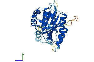 Protein Structure (PS) image for Elongator Acetyltransferase Complex Subunit 6 (ELP6) (AA 1-266) protein (His tag) (ABIN7558718)