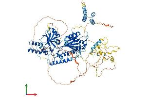 Protein Structure (PS) image for Integrator Complex Subunit 6 (INTS6) (AA 1-887) protein (His tag) (ABIN7554188)
