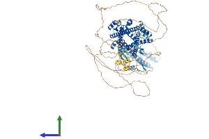 Protein Structure (PS) image for PRP40 Pre-mRNA Processing Factor 40 Homolog A (PRPF40A) (AA 1-953) protein (His tag) (ABIN7565185)