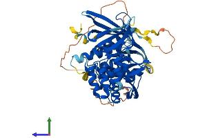 Protein Structure (PS) image for Sorting Nexin 17 (SNX17) (AA 1-470) protein (His tag) (ABIN7555540)