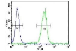 EGR1 antibody flow cytometric analysis of WiDr cells (right histogram) compared to a negative control (left histogram). (EGR1 抗体  (AA 9-37))