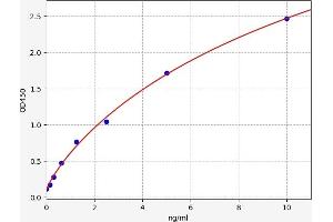 TLR7 ELISA 试剂盒