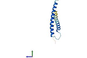 AlphaFold protein structure predicition of Mouse Recombinant Timm13 Protein, UniprotID P62075