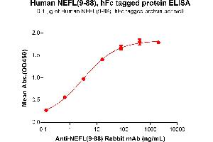 ELISA image for Neurofilament, Light Polypeptide (NEFL) (AA 9-88) protein (Fc Tag) (ABIN7092809)