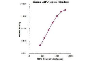 ELISA image for Myeloperoxidase (MPO) ELISA Kit (ABIN3198470)
