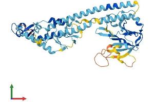 AlphaFold protein structure predicition of Mouse Recombinant Trim43a Protein, UniprotID Q3TL54