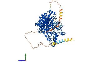 Protein Structure (PS) image for UDP-N-Acetyl-alpha-D-Galactosamine:polypeptide N-Acetylgalactosaminyltransferase 7 (GalNAc-T7) (GALNT7) (AA 1-657) protein (His tag) (ABIN7564270)