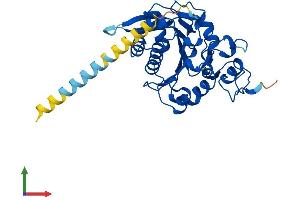 Protein Structure (PS) image for MFNG (MFNG) (AA 1-321) protein (His tag) (ABIN7562236)