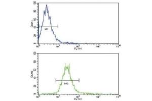Flow cytometric analysis of NCI-H460 cells using NRG1 antibody (green) compared to a negative control (blue). (Neuregulin 1 抗体  (AA 198-229))