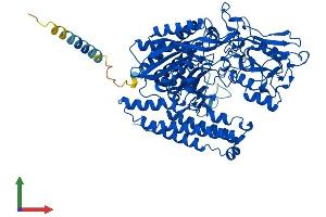 Protein Structure (PS) image for N-Acetylated alpha-Linked Acidic Dipeptidase 2 (NAALAD2) (AA 1-740) protein (His tag) (ABIN7560798)