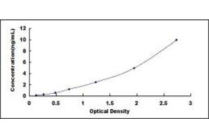 Typical standard curve (NF-kB p65 ELISA 试剂盒)