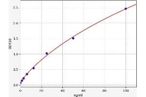 REG3A ELISA 试剂盒