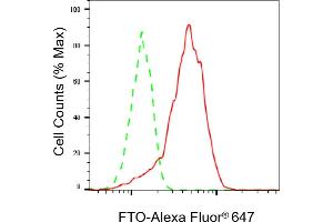 Flow cytometric analysis of FTO expression in HepG2 cells using FTO antibody (ABIN7798582), 1:2,000). (Recombinant FTO 抗体)