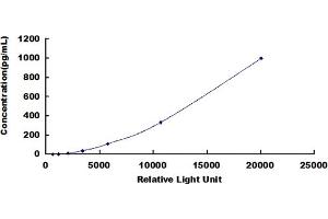 ELISA image for Erythropoietin (EPO) CLIA Kit (ABIN491741)