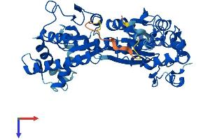 Protein Structure (PS) image for 6-phosphofructo-2-Kinase/fructose-2,6-Biphosphatase 4 (PFKFB4) (AA 1-469) protein (His tag) (ABIN7557911)