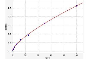 Lectin, Galactoside-Binding, Soluble, 1 (LGALS1) ELISA Kit