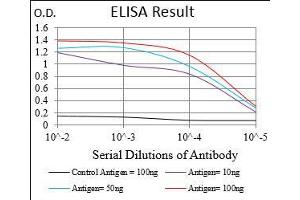 Black line: Control Antigen (100 ng), Purple line: Antigen(10 ng), Blue line: Antigen (50 ng), Red line: Antigen (100 ng), (CD36 抗体  (AA 30-130))