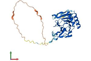 Protein Structure (PS) image for AlkB, Alkylation Repair Homolog 3 (ALKBH3) (AA 1-286) protein (His tag) (ABIN7552143)