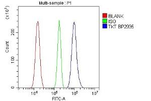 Flow Cytometry analysis of U87 cells using anti-Transketolase/TKT antibody (ABIN7598959).