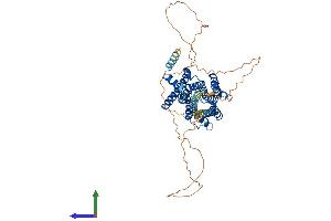 AlphaFold protein structure predicition of Mouse Recombinant Chrm5 Protein, UniprotID Q920H4