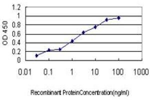 Detection limit for recombinant GST tagged AK3 is approximately 0. (Adenylate Kinase 3 抗体  (AA 25-86))