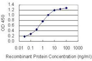 Detection limit for recombinant GST tagged RPGRIP1 is 0. (RPGRIP1 抗体  (AA 1187-1286))