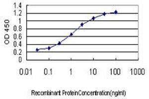 Detection limit for recombinant GST tagged RBAK is approximately 0.