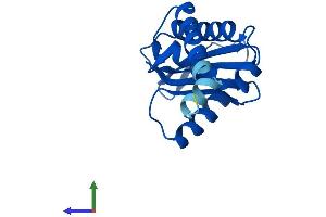 Protein Structure (PS) image for Adaptor Related Protein Complex 1 sigma 1 (AP1S1) (AA 1-158) protein (His tag) (ABIN7556591)