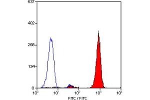 Staining of human peripheral blood granulocytes with MOUSE ANTI HUMAN CD16:FITC (CD16 抗体  (FITC))