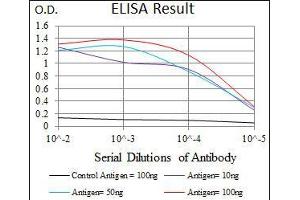 Black line: Control Antigen (100 ng), Purple line: Antigen(10 ng), Blue line: Antigen (50 ng), Red line: Antigen (100 ng), (CD5 抗体  (AA 27-233))